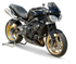 Immagine di TERMINALE DOPPIO HYDROFORM SATIN TRIUMPH STREET TRIPLE 675 2007-2012