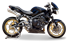 Immagine di TERMINALE DOPPIO HYDROFORM SATIN TRIUMPH STREET TRIPLE 675 2007-2012