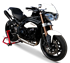 Picture of SILENCER EVO260 A304 BLACK TRIUMPH SPEED TRIPLE 11-14 DUAL HIGH POSITION