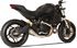 Immagine di TERMINALE GP07 INOX SATINATO DBK RETE DUCATI MONSTER 797 17>20 RACING