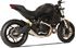 Picture of TERMINALE GP07 INOX SATINATO DBK GHIERA DUCATI MONSTER 797 17>20 RACING