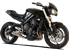 Immagine di TERMINALE RACING EVOXTREME 260 ACCIAIO PER TRIUMPH STREET TRIPLE 765