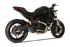 Picture of BLACK STEEL EVOXTREME 260 SILENCER DUCATI MONSTER 797 RACING