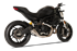 Immagine di TERMINALE EVOXTREME 260 INOX SATINATO DUCATI MONSTER 797 RACING