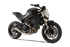 Immagine di TERMINALE EVOXTREME 260 INOX SATINATO DUCATI MONSTER 797 RACING