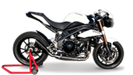 Picture for category SPEED TRIPLE 2011-2015