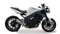Picture for category SPEED TRIPLE 1050 2007-2010