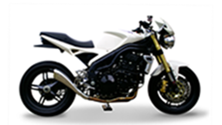 Picture for category SPEED TRIPLE  1050 2005-2006