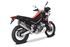 Immagine di TERMINALE SPS CARBON 350 TITANIUM APRILIA TUAREG 660 2022-2024