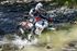 Immagine di TERMINALE SP-1 EVO SHORT TITANIUM BASSO DUCATI DESERT X 950 2022-2024