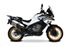 Immagine di TERMINALE SPS CARBON SHORT TITANIUM CFMOTO 800MT 2022-2024