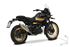 Immagine di COLLETTORI RACING IN ACCIAIO INOX ROYAL ENFIELD HIMALAYAN 450 2024
