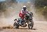 Immagine di TERMINALE SP-1 SHORT ACCIAIO ROYAL ENFIELD HIMALAYAN 450 2024