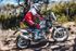 Immagine di TERMINALE SP-1 SHORT ACCIAIO ROYAL ENFIELD HIMALAYAN 450 2024