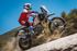 Immagine di TERMINALE SP-1 SHORT ACCIAIO ROYAL ENFIELD HIMALAYAN 450 2024