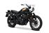 Picture of TERMINALE SINGOLO HYDROFORM RS ALTO BLACK HONDA CL 500 2024