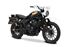 Picture of DOPPIO TERMINALE HYDROFORM RS ALTO BLACK HONDA CL 500 2024