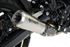 Immagine di TERMINALE GP-07 ACCIAIO SATINATO PER ROYAL ENFIELD GUERRILLA 450