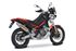 Immagine di TERMINALE SP-2 350 TITANIUM APRILIA TUAREG 660 2022-2024