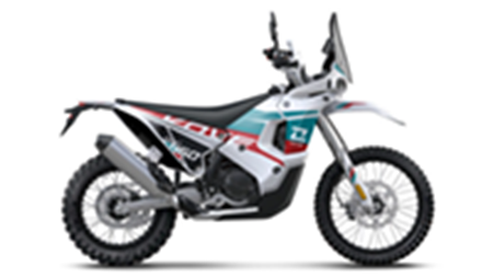 Immagine per la categoria 450 RALLY 2025-2026